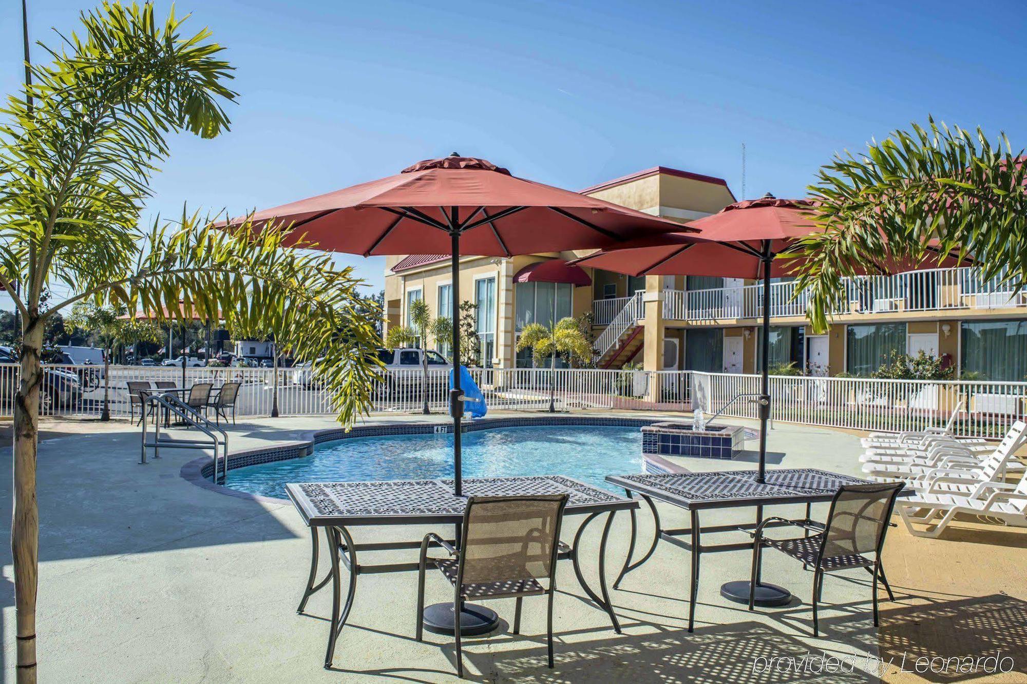 Rodeway Inn New Port Richey Exteriér fotografie